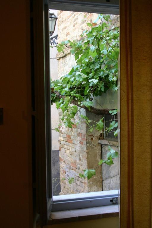 La Neviera Nel Pozzo Bed and Breakfast Offida Rum bild